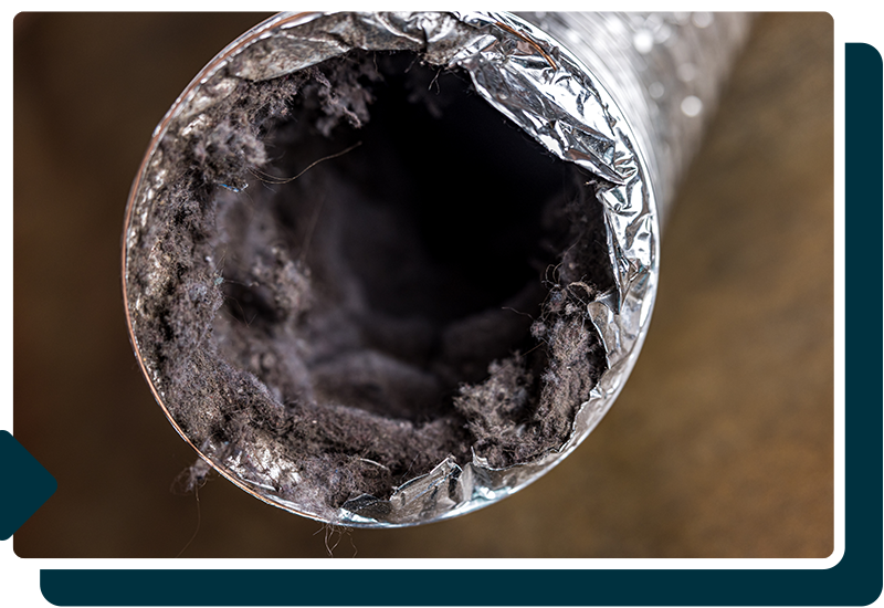 dirty dryer vent